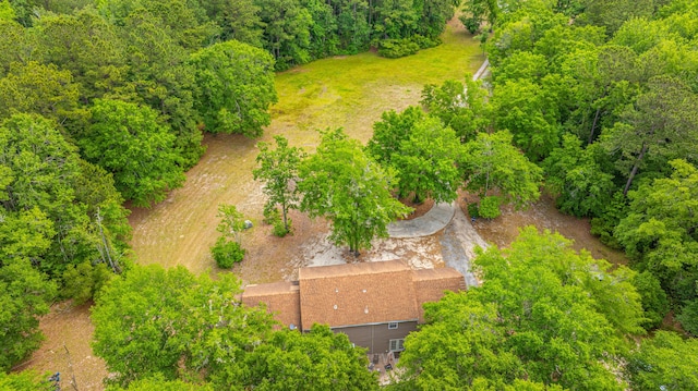 312 Piney Grove Rd, Cross, SC 29436 - view from above of property