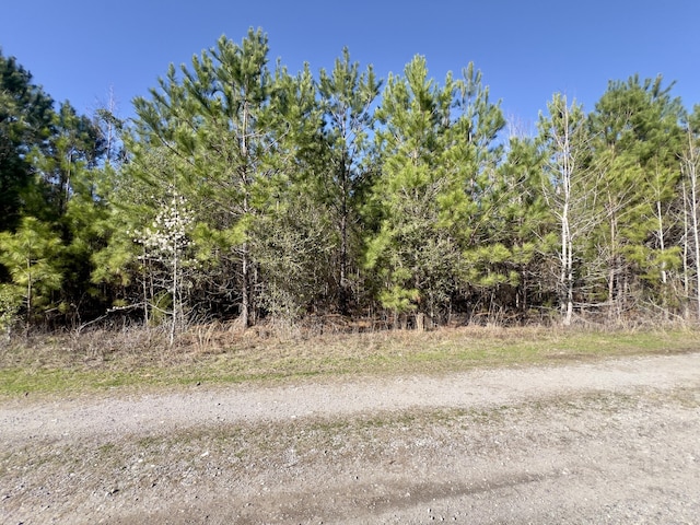 09 Devine Way, Cross SC, 29436 land for sale