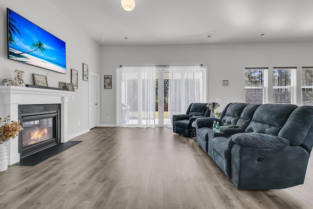 living room featuring healthy amount of natural light, wood finished floors, and a glass covered fireplace