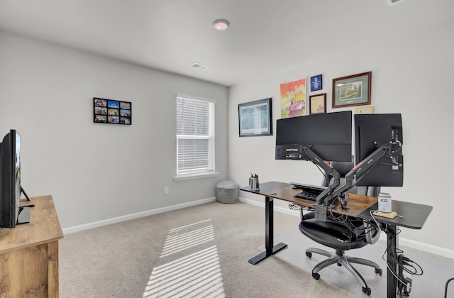 office space with carpet