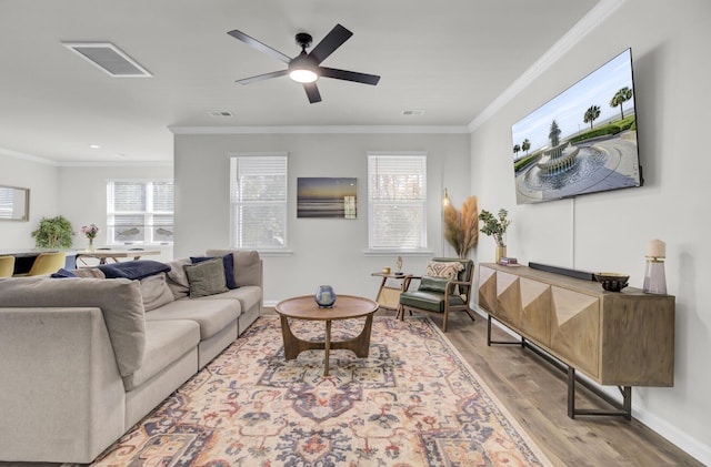 living room featuring ceiling fan, ornamental molding, and light hardwood / wood-style flooring