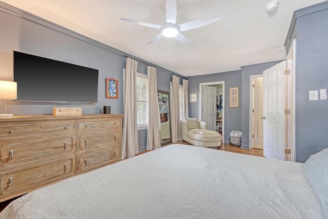 803 Burnett Dr, Charleston, SC 29412 - bedroom with a ceiling fan, a closet, and a spacious closet