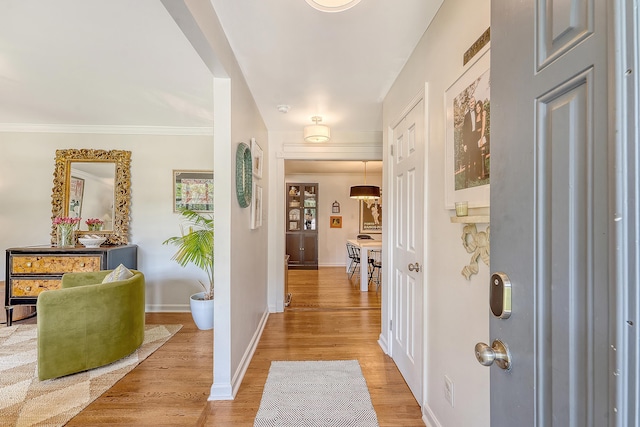 803 Burnett Dr, Charleston, SC 29412 - entrance foyer with light wood-style flooring, baseboards, and ornamental molding