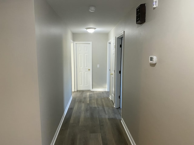 corridor with dark hardwood / wood-style flooring