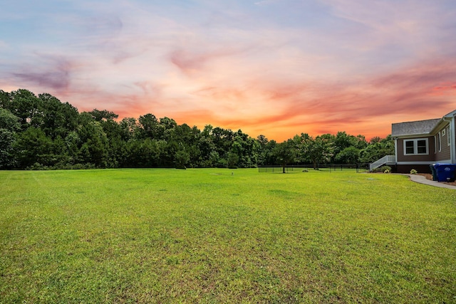727 Sonny Boy Ln, Johns Island, SC 29455 - yard at dusk with a yard