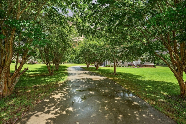 727 Sonny Boy Ln, Johns Island, SC 29455 - view of asphalt driveway
