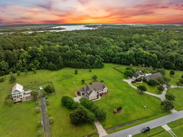 727 Sonny Boy Ln, Johns Island, SC 29455 - aerial view at dusk of a water view and a forest view
