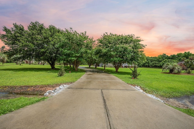 727 Sonny Boy Ln, Johns Island, SC 29455 - view of front facade featuring a yard and concrete driveway
