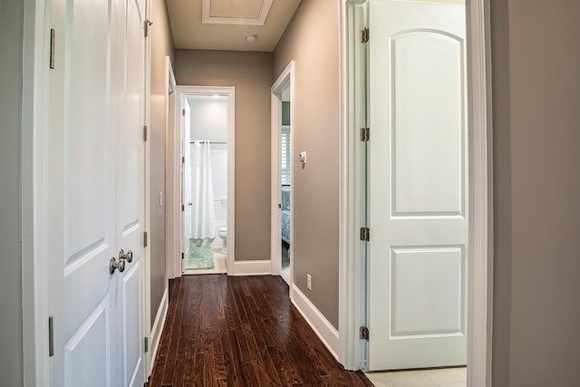 15 Carter Oaks, Ladys Island, SC 29907 - hall featuring wood finished floors and baseboards
