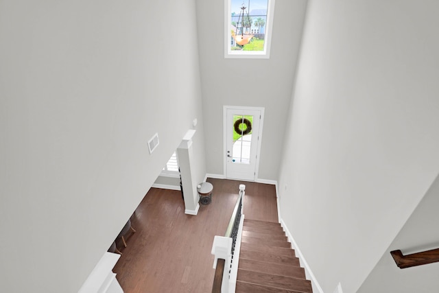 entrance foyer with dark hardwood / wood-style flooring and a wealth of natural light