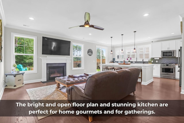 living room featuring crown molding, ceiling fan, and dark hardwood / wood-style flooring