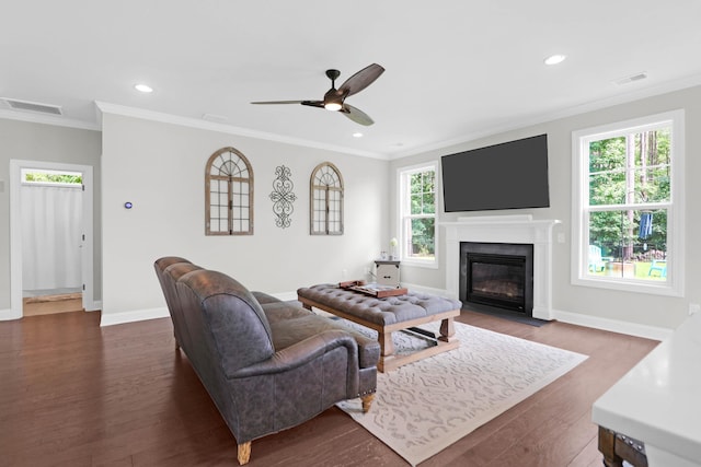 living room with ornamental molding, dark wood-type flooring, and ceiling fan