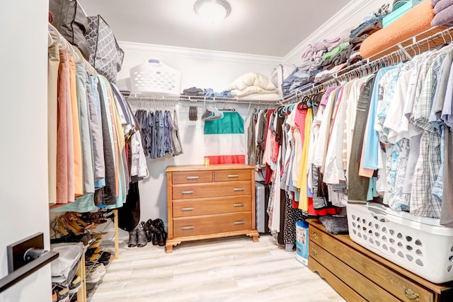 walk in closet with light hardwood / wood-style floors