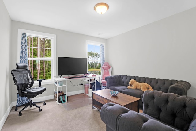 living room with a healthy amount of sunlight and carpet flooring