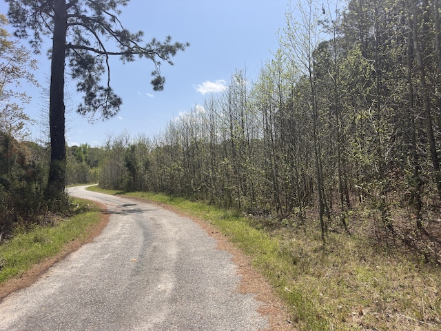 TRACT5 Smith Ln, Bowman, SC 29018