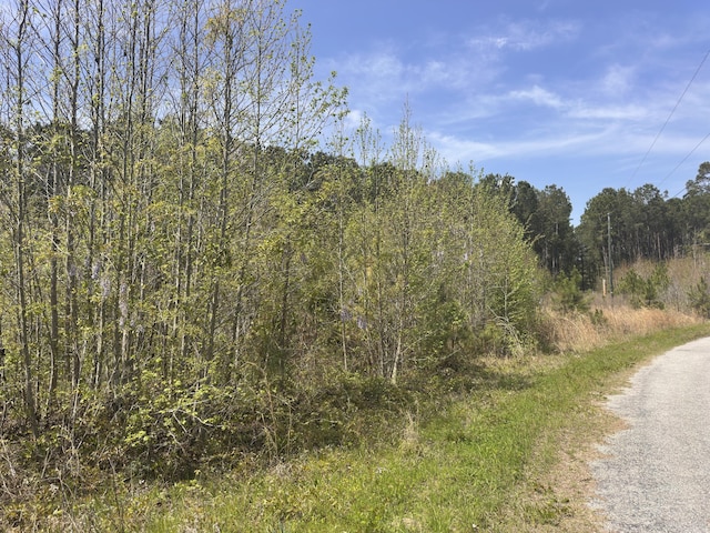 TRACT5 Smith Ln, Bowman, SC 29018