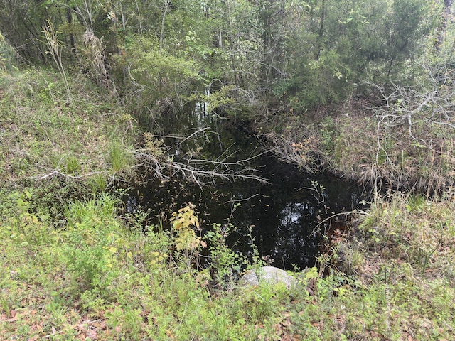 TRACT5 Smith Ln, Bowman, SC 29018