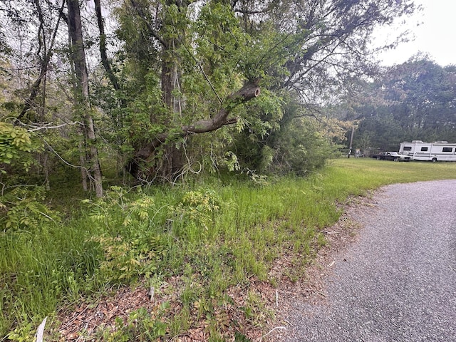 TRACT5 Smith Ln, Bowman, SC 29018