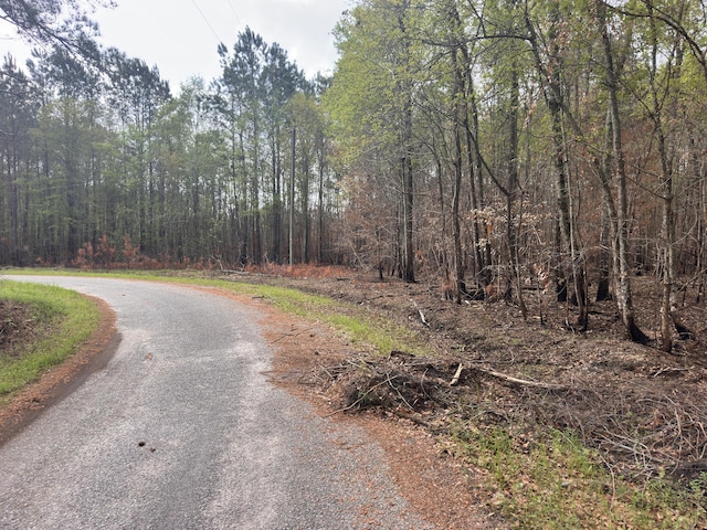 TRACT5 Smith Ln, Bowman, SC 29018