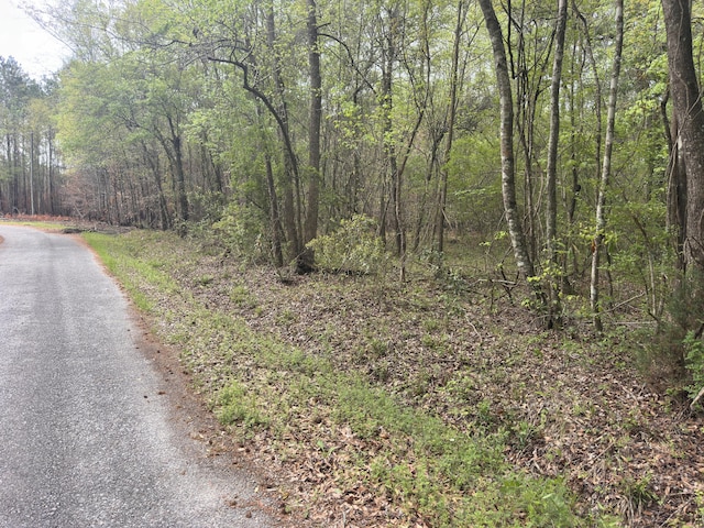 TRACT5 Smith Ln, Bowman, SC 29018
