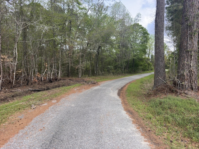 TRACT5 Smith Ln, Bowman, SC 29018