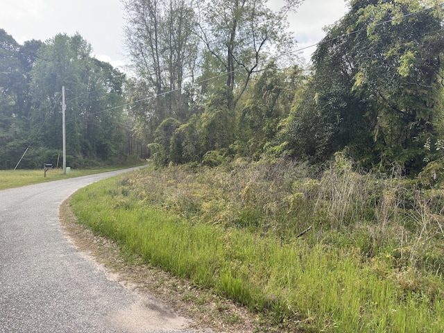 TRACT5 Smith Ln, Bowman, SC 29018