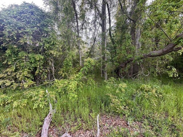 TRACT5 Smith Ln, Bowman, SC 29018