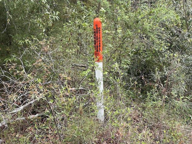 TRACT5 Smith Ln, Bowman, SC 29018