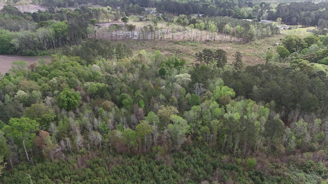 TRACT5 Smith Ln, Bowman, SC 29018