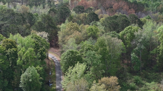 TRACT5 Smith Ln, Bowman, SC 29018