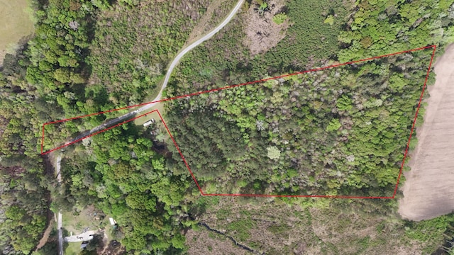 TRACT5 Smith Ln, Bowman, SC 29018