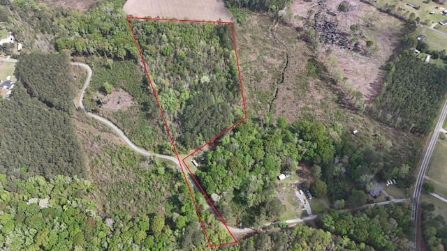 TRACT5 Smith Ln, Bowman, SC 29018