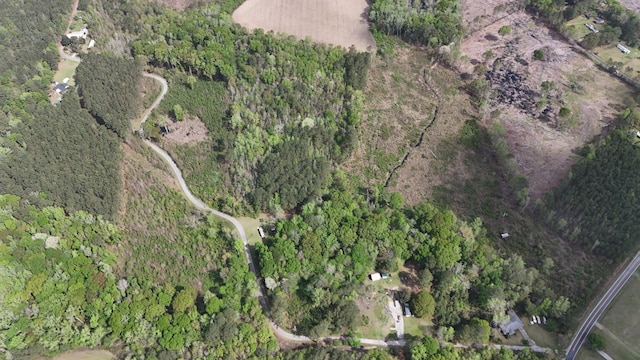 TRACT5 Smith Ln, Bowman, SC 29018