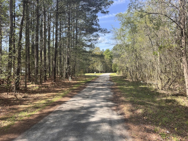 TRACT5 Smith Ln, Bowman, SC 29018