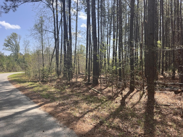 TRACT5 Smith Ln, Bowman, SC 29018