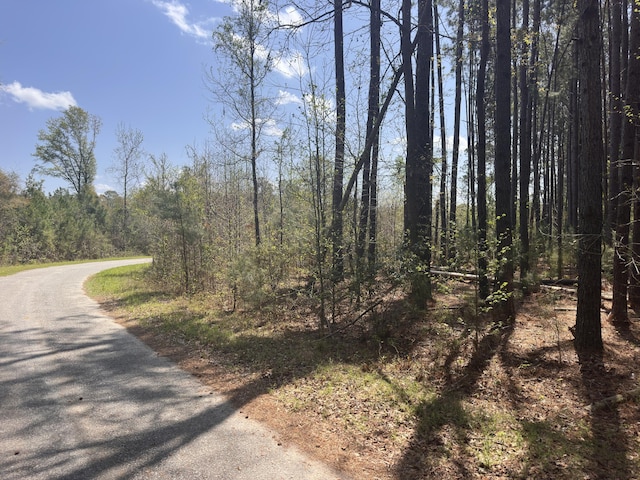 TRACT5 Smith Ln, Bowman, SC 29018