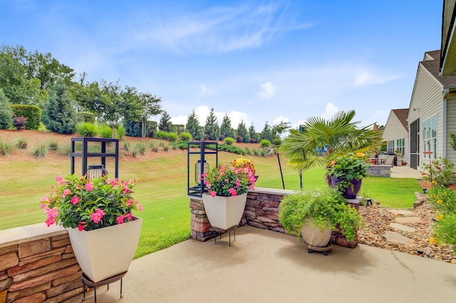 366 Tupelo Lake Dr, Summerville, SC 29486 - view of patio