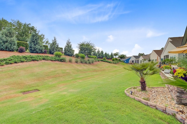 366 Tupelo Lake Dr, Summerville, SC 29486 - view of green lawn