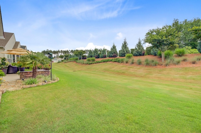 366 Tupelo Lake Dr, Summerville, SC 29486 - view of grassy yard
