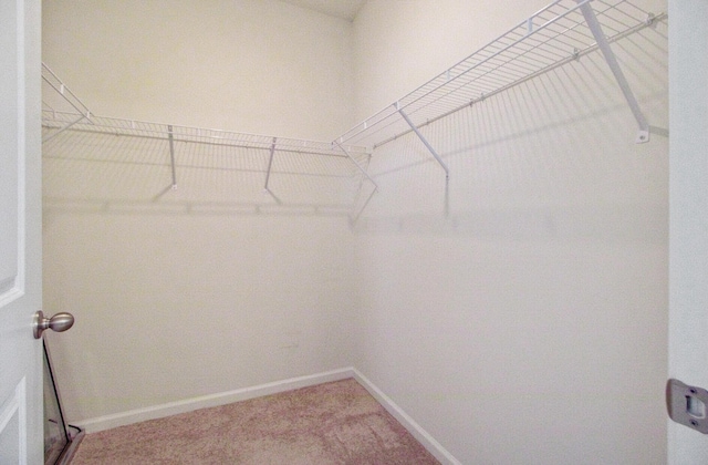 104 Wild Orchid Way, Huger, SC 29450 - spacious closet with light carpet