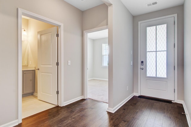 104 Wild Orchid Way, Huger, SC 29450 - foyer featuring dark wood-style floors and healthy amount of natural light