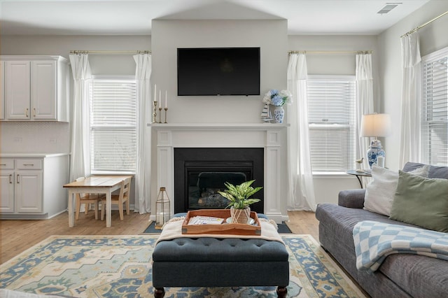 127 Surfbird Rd, Summerville, SC 29486 - living room featuring light wood finished floors, a glass covered fireplace, and visible vents