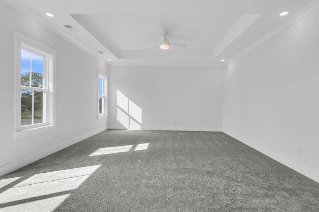 carpeted spare room featuring a raised ceiling and ceiling fan