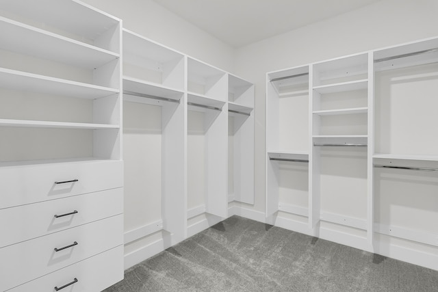 walk in closet with dark carpet