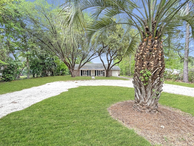 view of yard with curved driveway