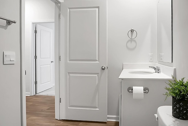 bathroom featuring wood finished floors and a sink