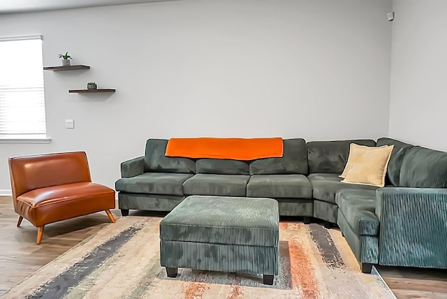 living room featuring wood finished floors