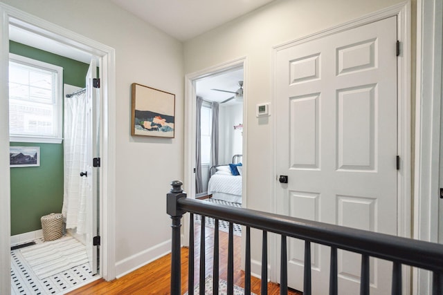 corridor featuring hardwood / wood-style flooring and plenty of natural light