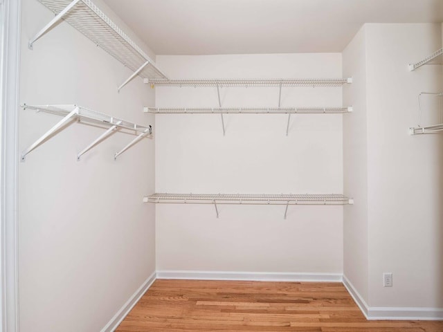 walk in closet with wood-type flooring