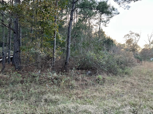 0 Smoak Rd, Walterboro SC, 29488 land for sale